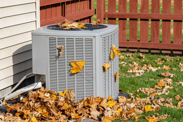Best Residential HVAC Services  in Dupo, IL